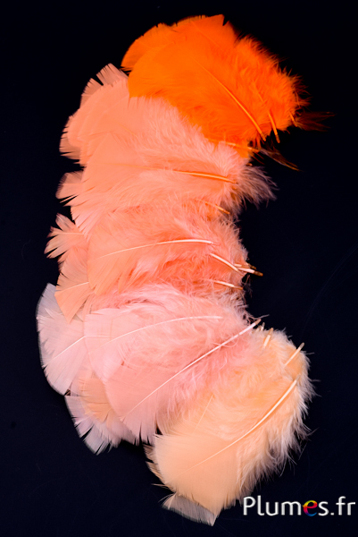 Dinde - 6-8 cm - camaïeu orange
